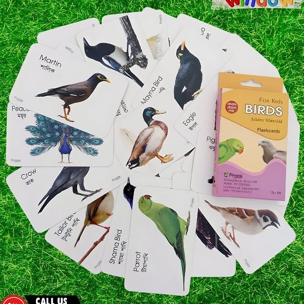 Birds Flash Cards