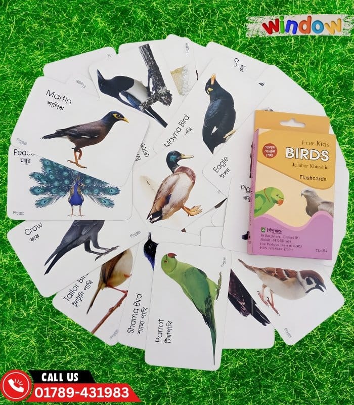 Birds Flash Cards